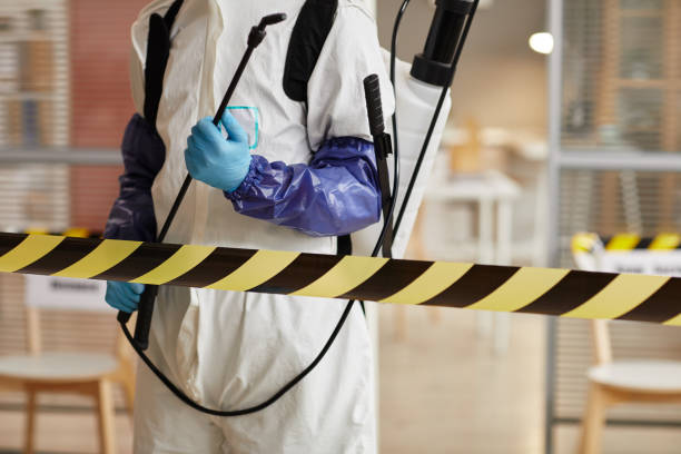 Professional Sewage Cleanup technician working in Saint Helena, NE